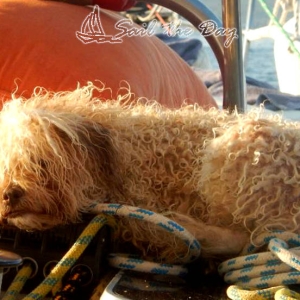 059sail-theday-skiathos