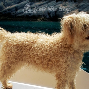 061sail-theday-skiathos